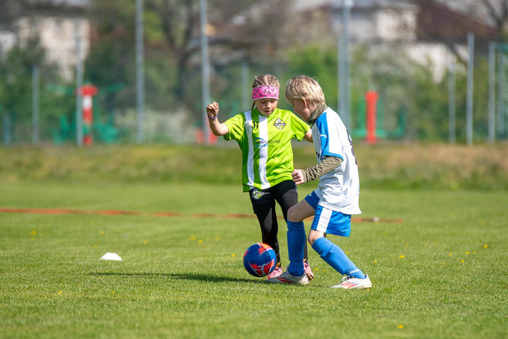 2026-04-25-pripravky 6