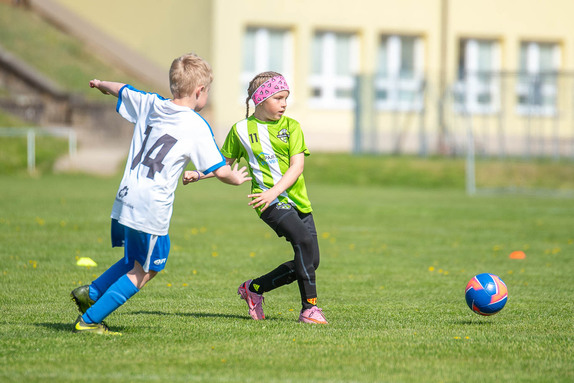 2026-04-25-pripravky 8