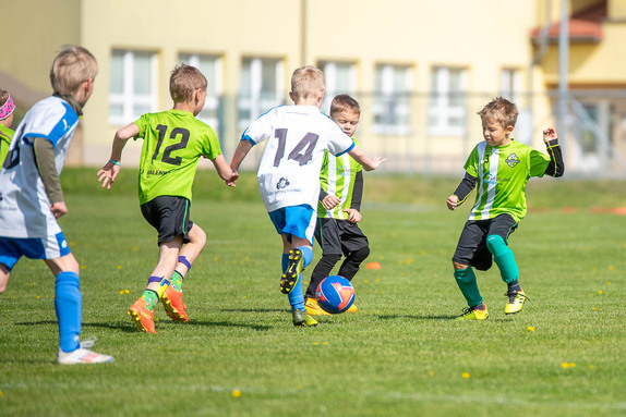 2026-04-25-pripravky 9