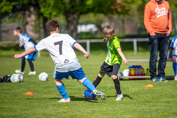 2026-04-25-pripravky 12